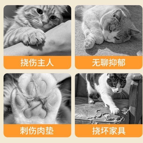 商品缩略图 7