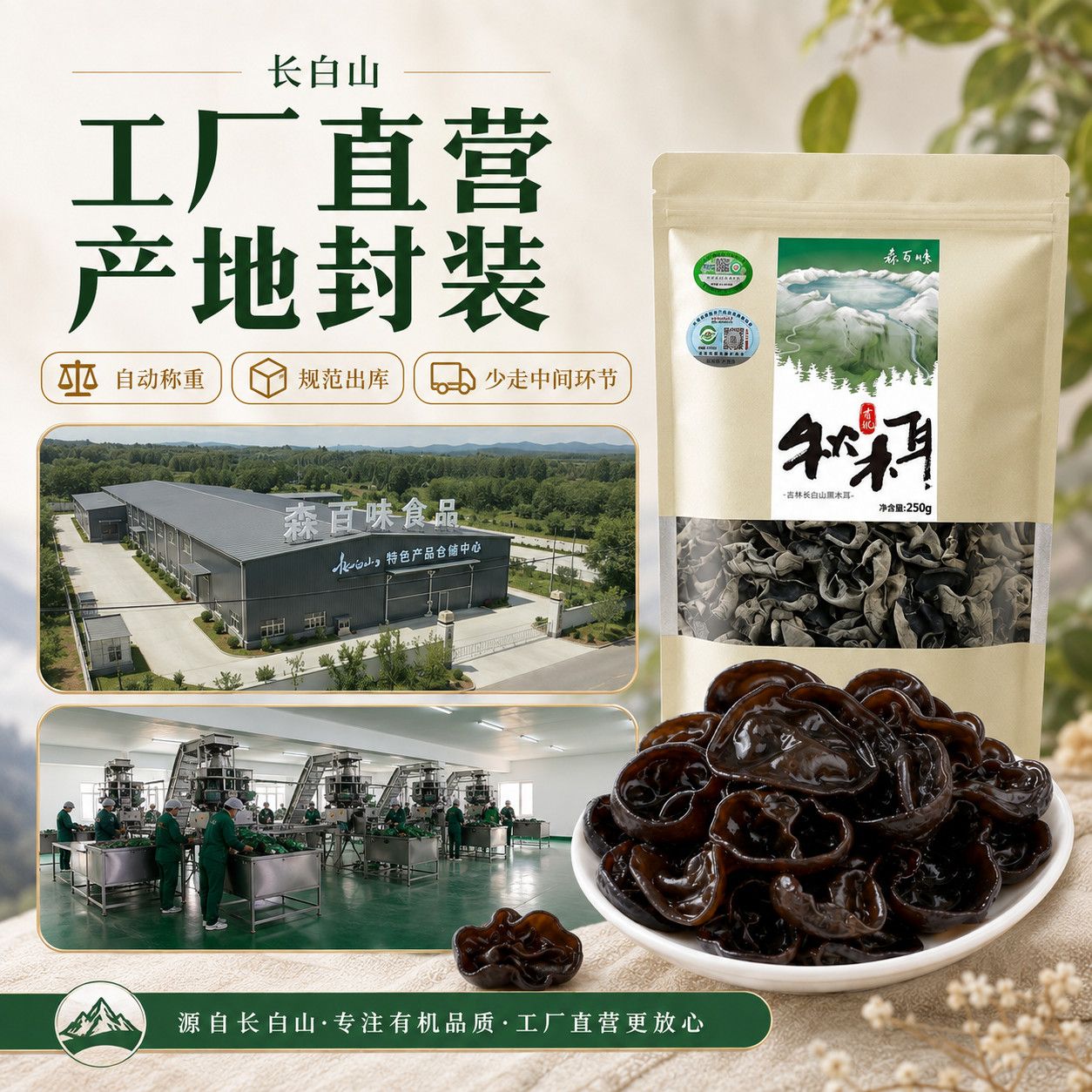 东北有机秋木耳干货长白山特级黑木耳土特产非小碗木耳椴木菌生 图片 8