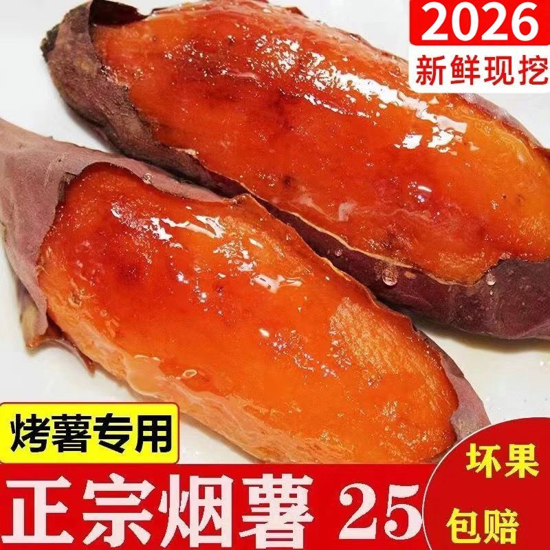 正宗山东烟薯25号新鲜红薯糖心流油蜜薯红心烤地瓜农家番薯小山芋