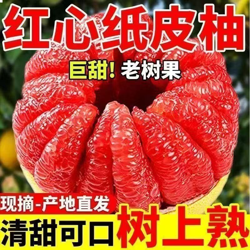 正宗福建红肉薄皮红心蜜柚现货新鲜柚子平和琯溪孕妇水果红柚批发