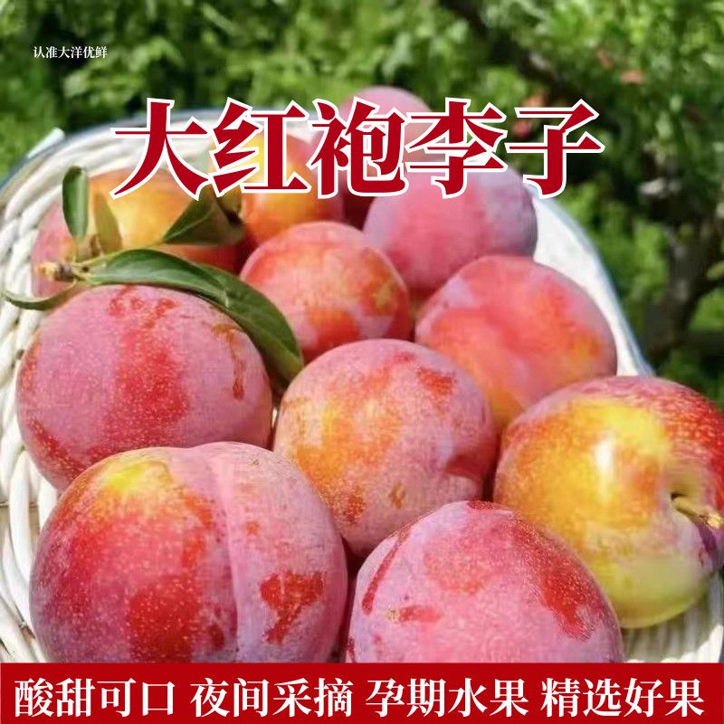 正宗大红袍当季应季水果大李子大果大红袍干碗离核酸甜口感