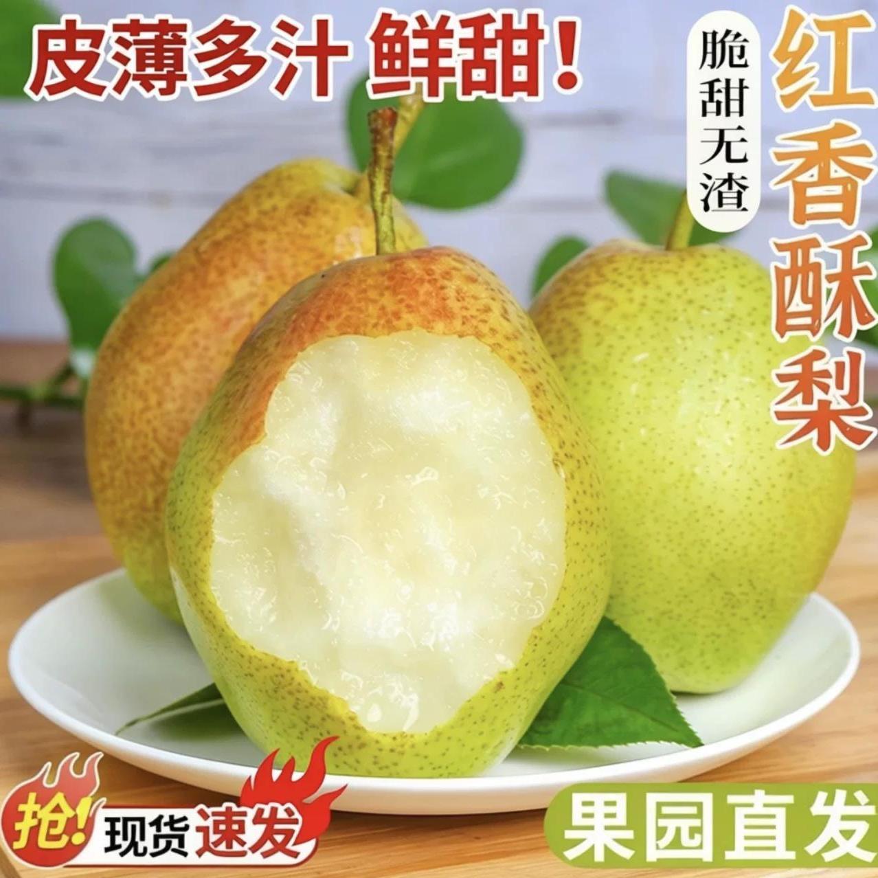 现摘红香酥梨5 12.9元 - 线报酷