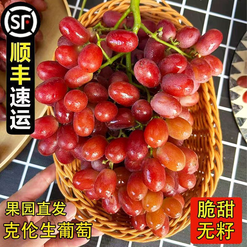 【顺丰包邮】四川克伦生无籽葡萄红提克伦生葡萄新鲜水果无核葡萄