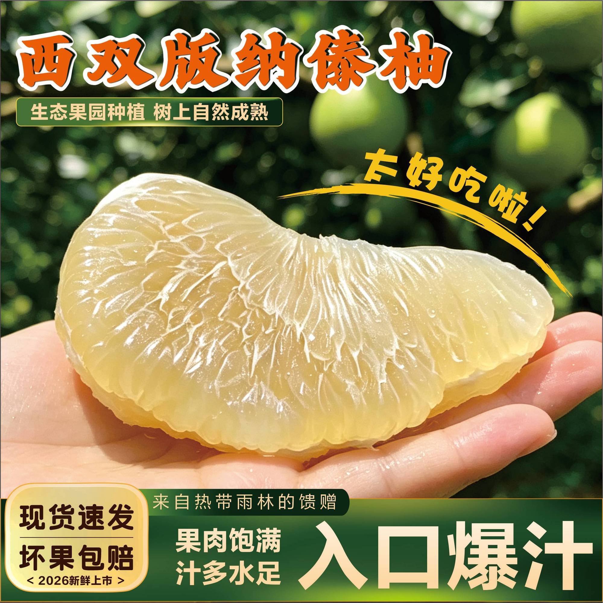 西双版纳东试早柚青柚子白玉翡翠金柚当季新鲜水果脆爽甜细嫩多汁