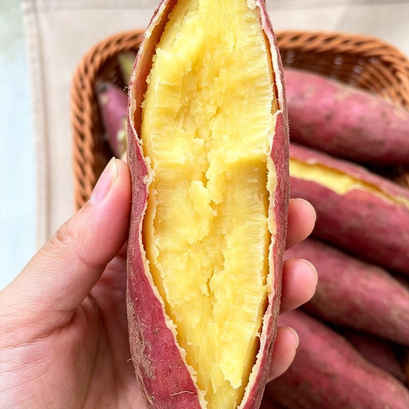 村婆婆4.5斤板栗红薯正宗陕西潼关秦薯5号红皮黄心干面粉糯香地瓜 图片 7
