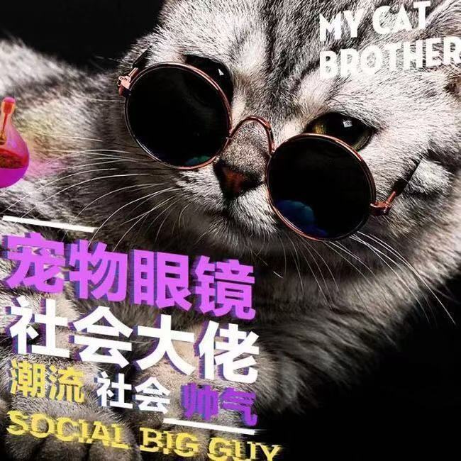 宠物太阳眼镜眼镜猫咪拍照用品8.1cm墨镜狗狗装酷个性中小型配饰