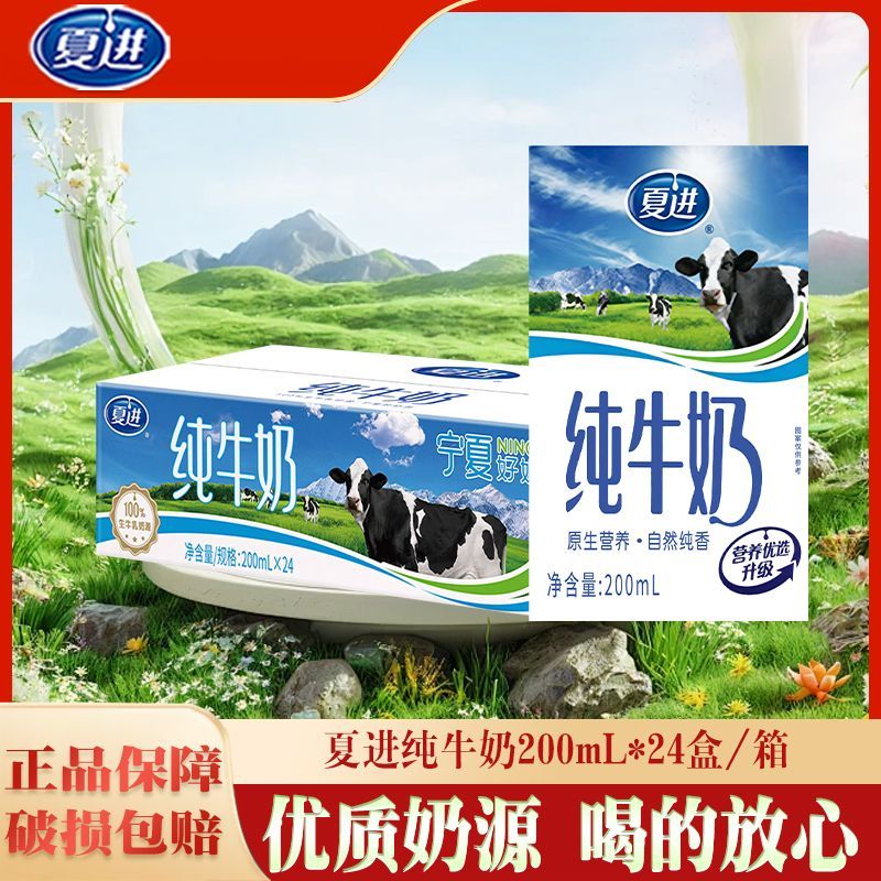 7月产 夏进纯牛奶200ml*24盒整箱早餐搭档全脂纯牛奶特价