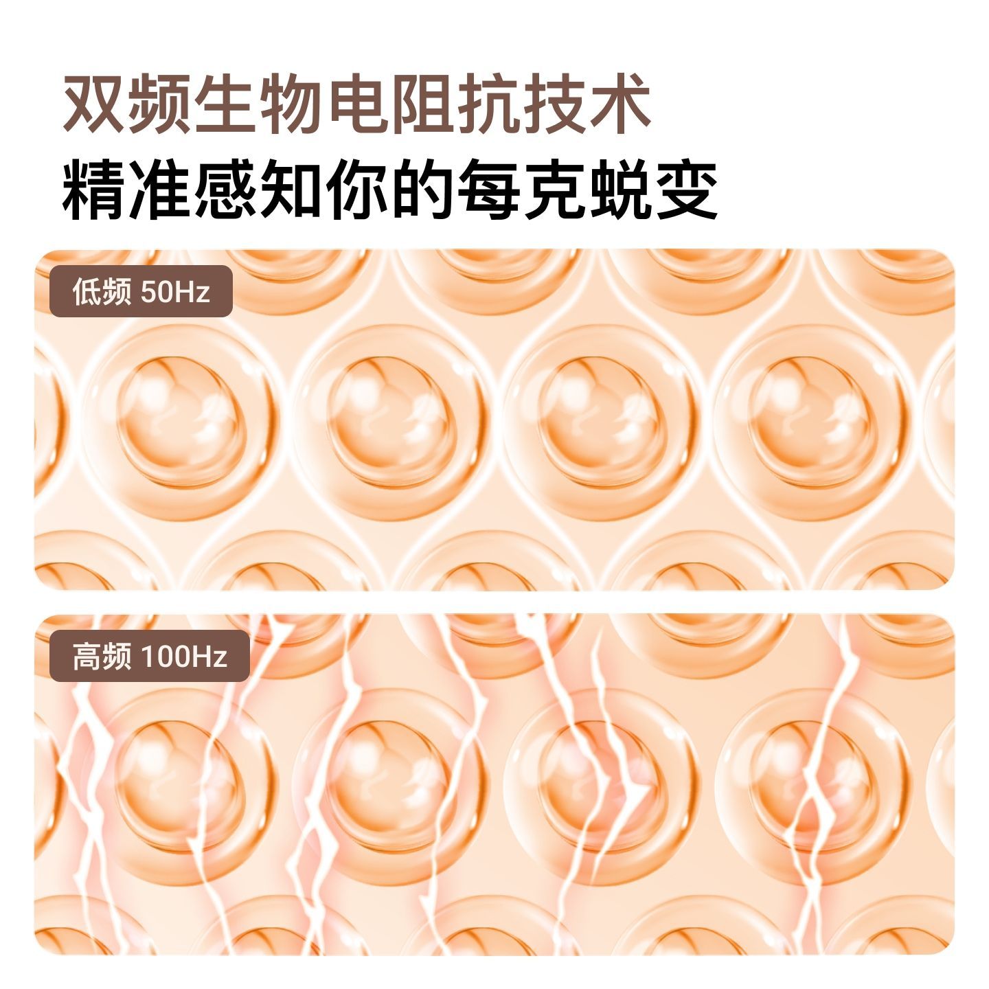 Keep智能体脂秤Solar 1精准测脂减肥蓝牙数据家用电子体重秤健身 图片 10