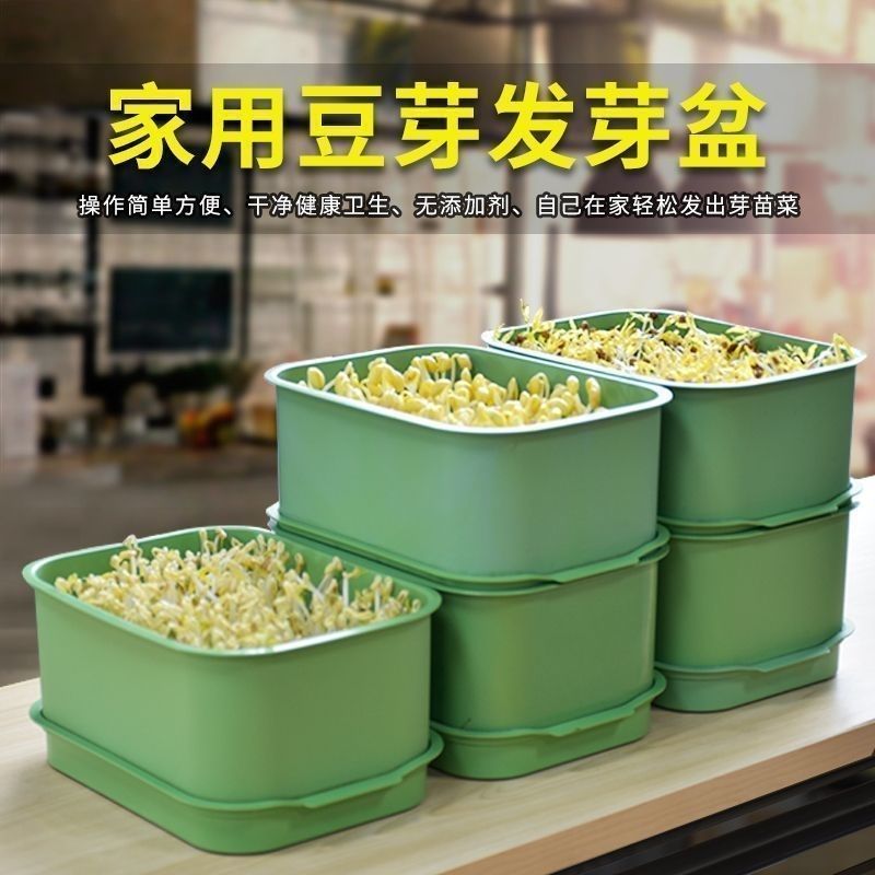 家用豆芽菜发豆芽神器芽苗菜发芽盆育苗发芽种菜水培居家款豆芽机