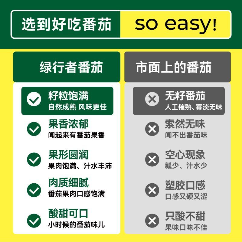 【绿行者】粉番茄4.5斤新鲜西红柿沙瓤生吃自然熟现摘鲜发彩箱 图片 3