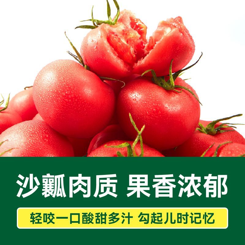 【绿行者】粉番茄4.5斤新鲜西红柿沙瓤生吃自然熟现摘鲜发彩箱 图片 2