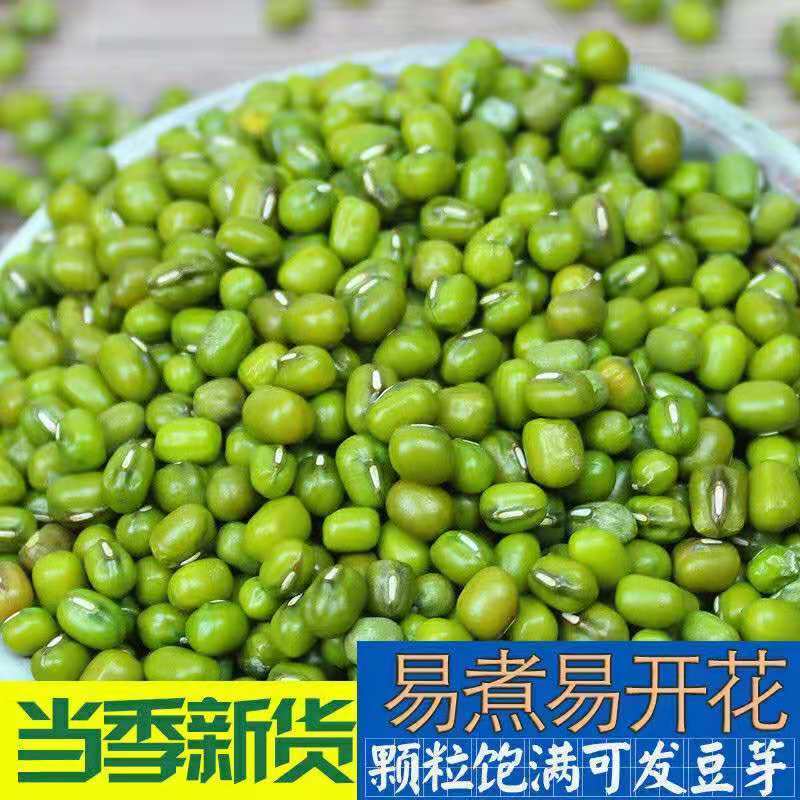10.9💰2斤绿豆 又到夏天绿豆汤主场啦 冰镇的简直太解暑了 - 线报酷