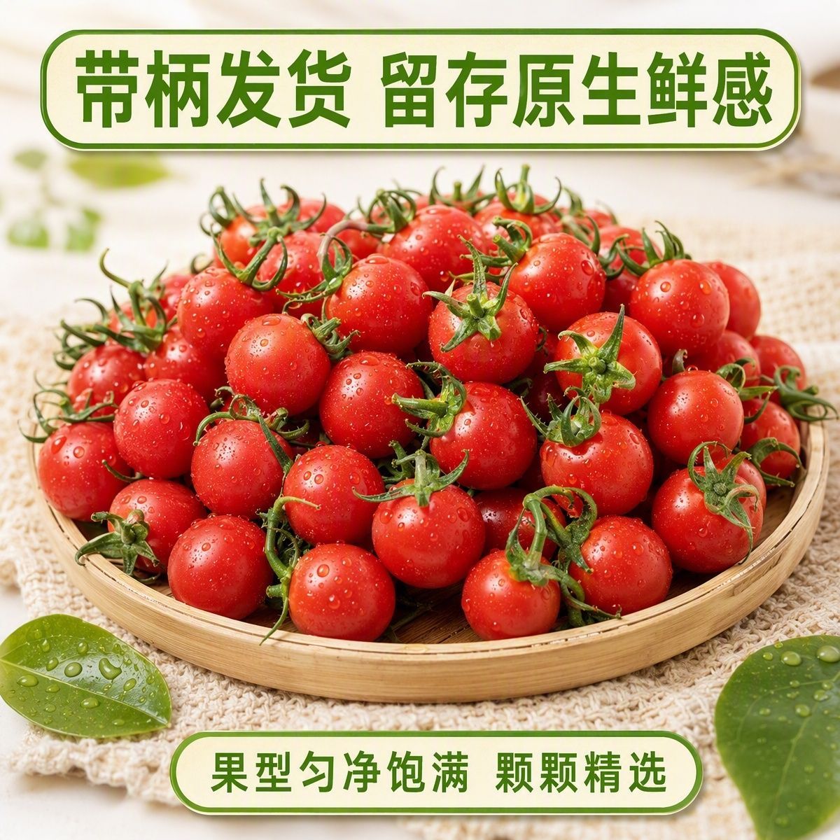【顺丰】新鲜现摘正宗千禧圣女果小番茄西红柿孕妇水果番茄蔬菜 图片 6