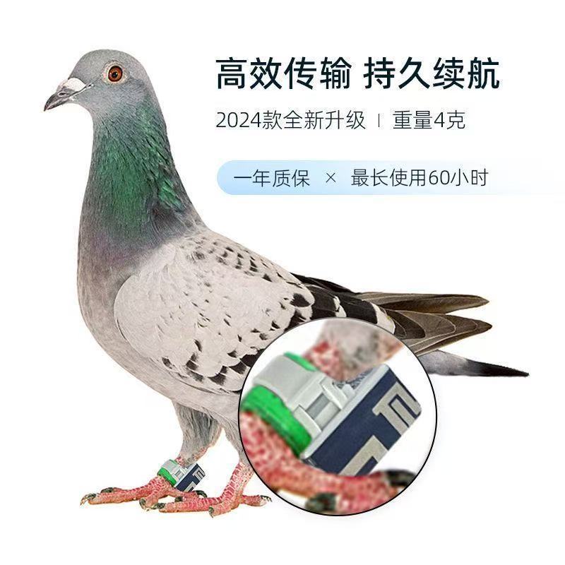 商品缩略图 3