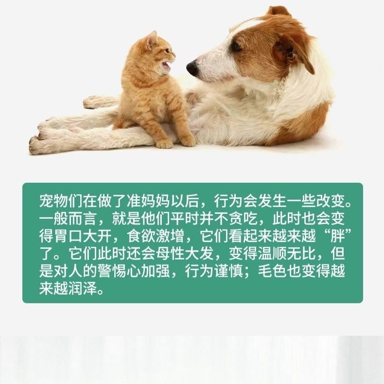 商品缩略图 9