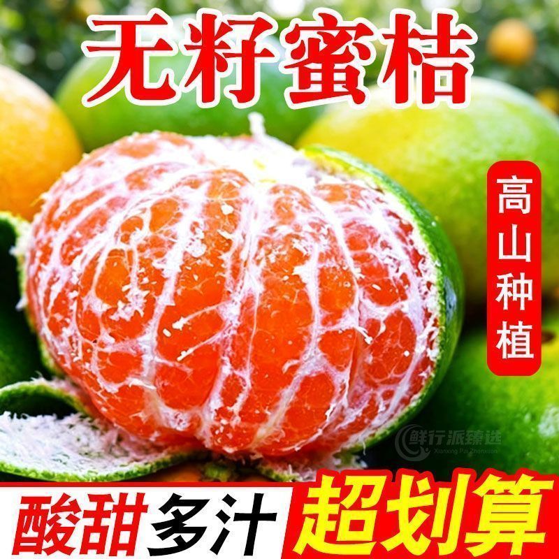 【产地直发】四川青皮无籽新鲜酸橘子蜜桔蜜橘桔子水果批发 图 4
