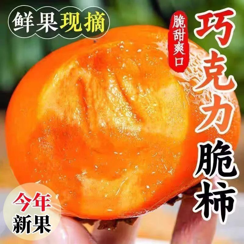 【彩箱】正宗阳丰脆柿新鲜应季甜柿巧克力脆柿批发净重5斤起