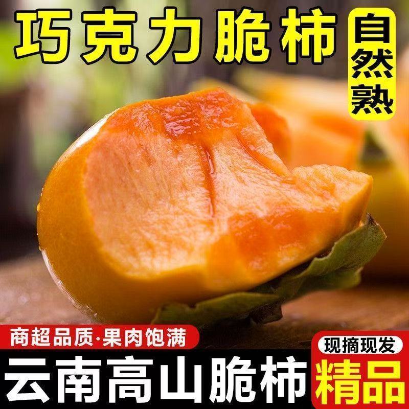 巧克力脆柿子3斤 9.9元 - 线报酷