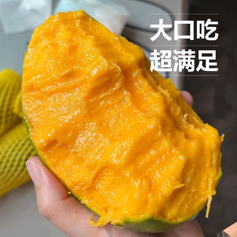 【礼盒装】正宗凯特芒果新鲜水果批发整箱非四川攀枝花大芒果10斤