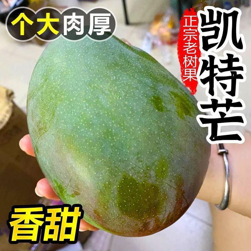 【礼盒装】正宗凯特芒果新鲜水果批发整箱非四川攀枝花大芒果10斤