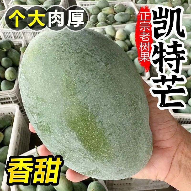 【礼盒装】正宗凯特芒果新鲜水果批发整箱非四川攀枝花大芒果10斤