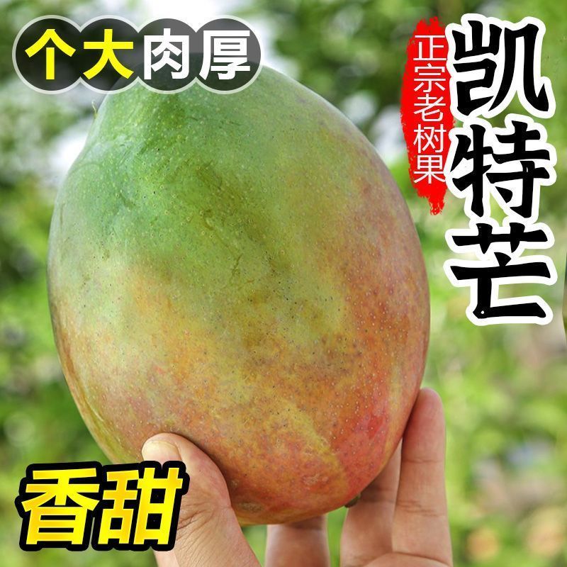 【礼盒装】正宗凯特芒果新鲜水果批发整箱非四川攀枝花大芒果10斤