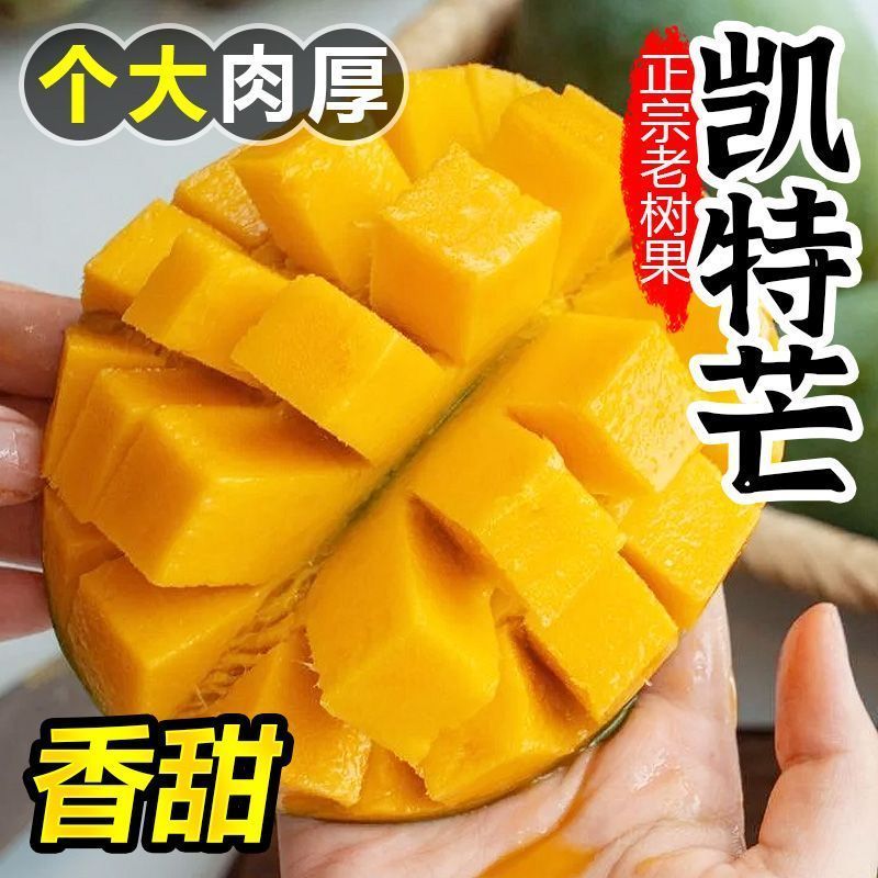 【礼盒装】正宗凯特芒果新鲜水果批发整箱非四川攀枝花大芒果10斤