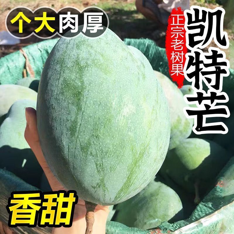 【礼盒装】正宗凯特芒果新鲜水果批发整箱非四川攀枝花大芒果10斤