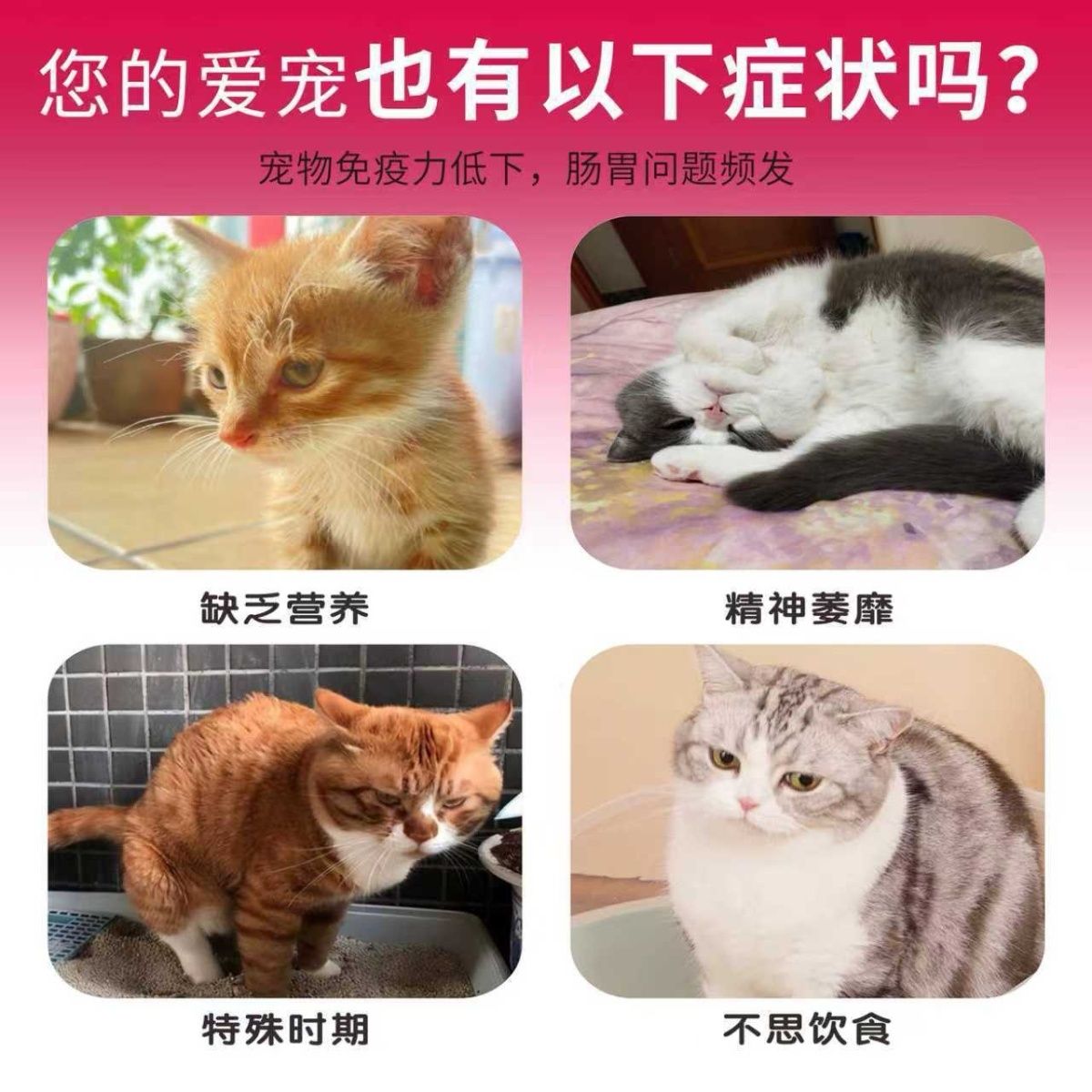 商品缩略图 5