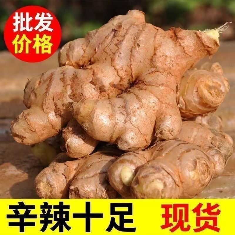 现挖高山老姜生姜批发正宗小黄姜老姜头月子姜新鲜蔬菜整箱姜