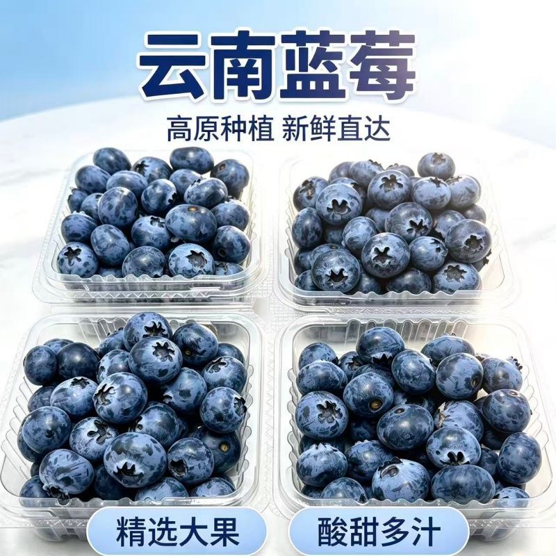 新鲜高山蓝莓125g*2盒 16.5元 - 线报酷