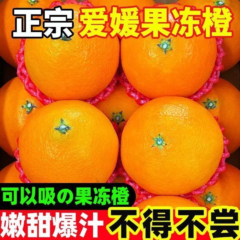 四川眉山爱媛38号果冻橙薄皮多汁超甜新鲜应季水果桔子橙子批发价