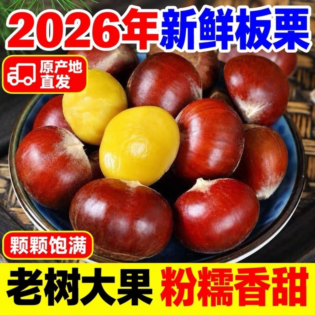 净5.5斤丹东板栗】新下树板栗新鲜板栗丹东当季大板栗生栗子