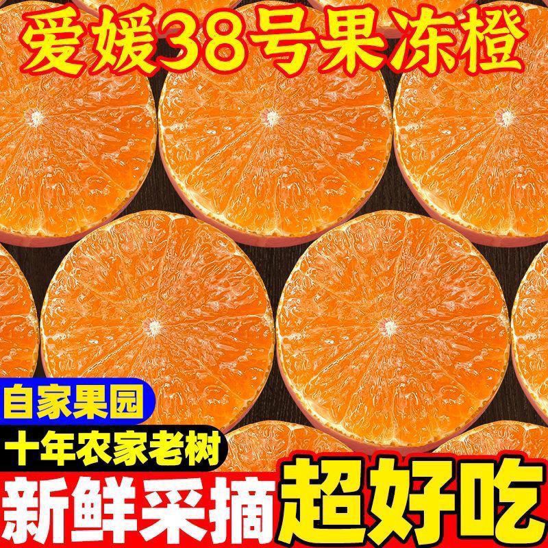 【彩箱】正宗爱媛38号果冻橙四川新鲜水果爱媛橙整箱批发