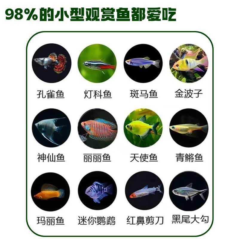 孔雀鱼专用饲料斗鱼斑马鱼热带鱼红绿灯观赏鱼颗粒鱼食鱼粮缓沉料 图 5