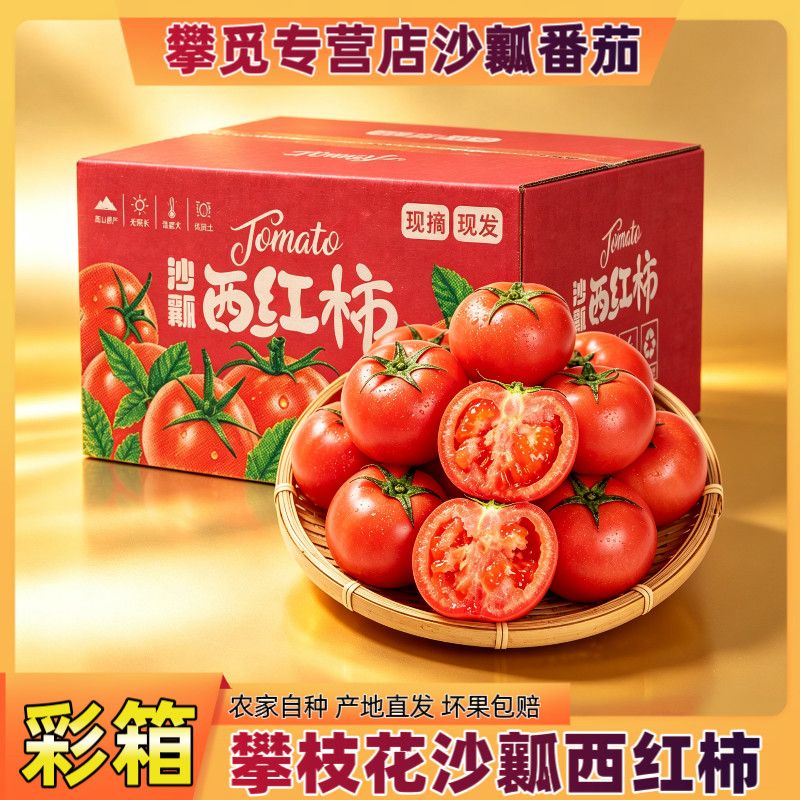 【彩箱5斤装】四川攀枝花番茄沙瓤西红柿新鲜水果大番茄生吃柿子