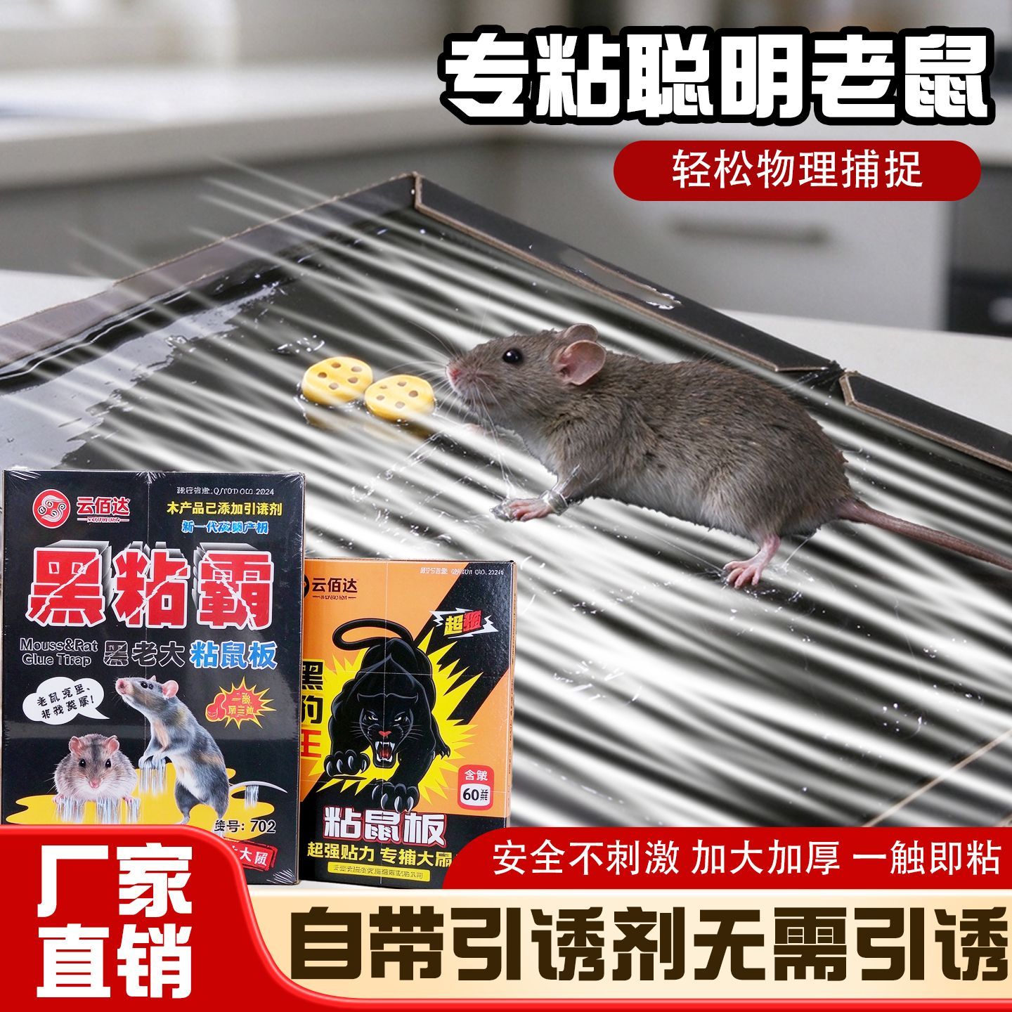 云佰达正品大号强力坚果贴粘鼠板升级家用灭鼠神器加厚强力胶地鼠 图 3