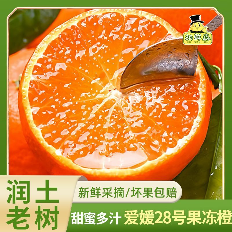 胡鲜森【顺丰彩箱】福建爱媛28号果冻橙红美人橙子水果新鲜4.5斤