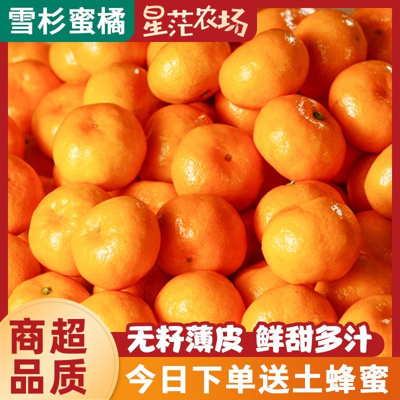 【爱心扶农】现摘鲜甜雪衫蜜橘无核薄皮孕妇柑橙橘子应季新鲜水果