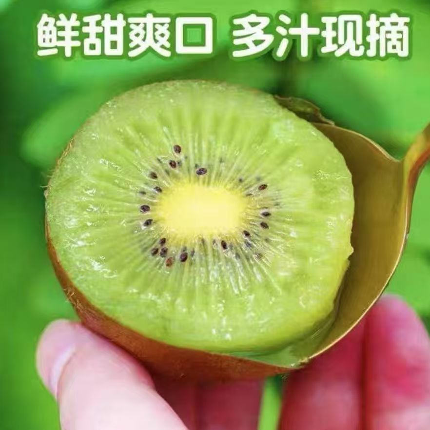 陕西多汁正宗徐香当季猕猴桃孕妇奇异果大果应季新鲜水果彩箱发货