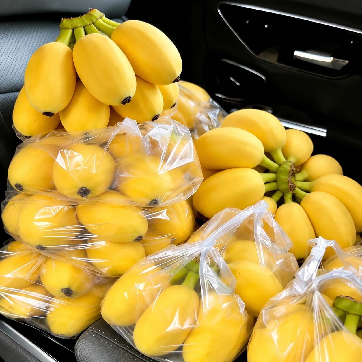 【五斤】正宗苹果蕉粉糯广西香蕉新鲜当季水果孕妇宝宝辅食批发