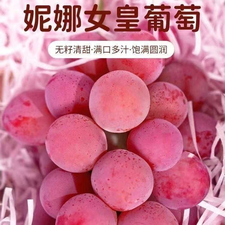 【顺丰冷链】正宗妮娜皇后葡萄红宝石红提新鲜提子皇尼娜公主当季