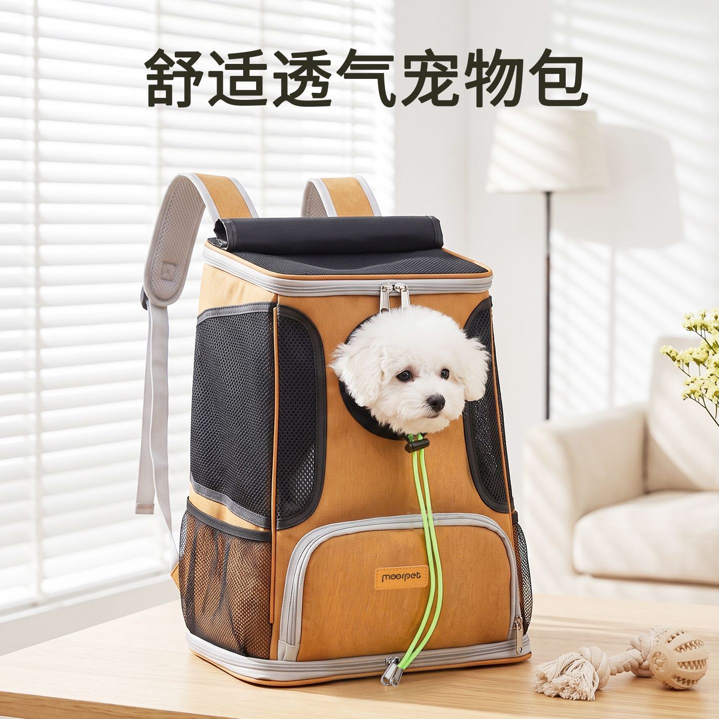 宠物背包猫咪新款拉杆箱大容量双肩包外出便携可折叠透气双肩狗狗