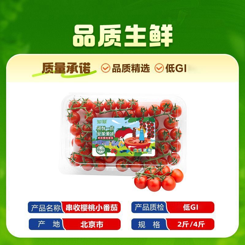 【知翠】小串收小番茄生吃带枝车厘茄小西红柿净重2斤4斤顺丰上门