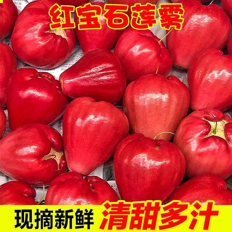 正宗新鲜海南红宝石莲雾热带水果清甜应季水果整箱仙女果莲雾果