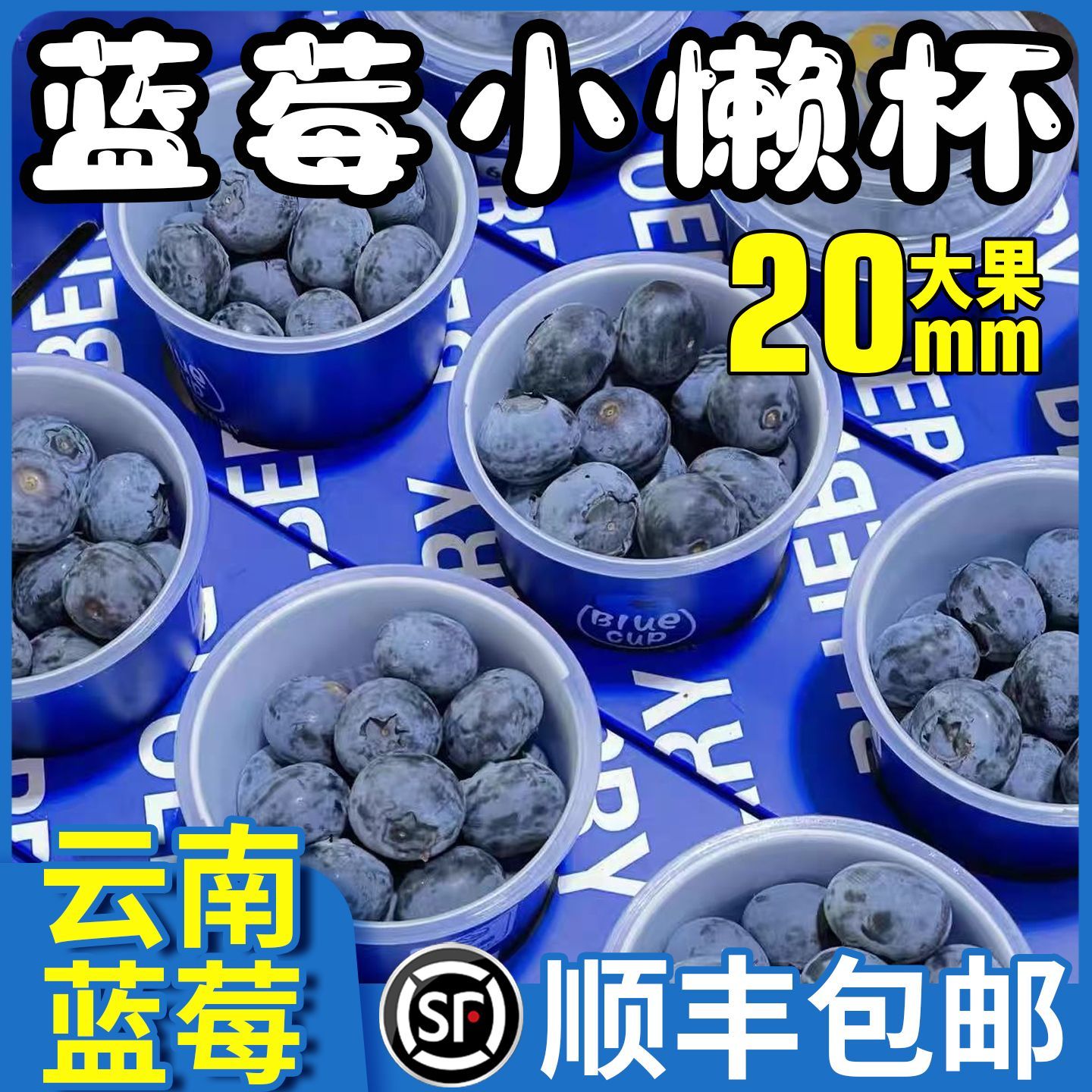 【顺丰】云南花香蓝莓鲜果新鲜当季蓝梅大果南小懒杯60g单果20mm