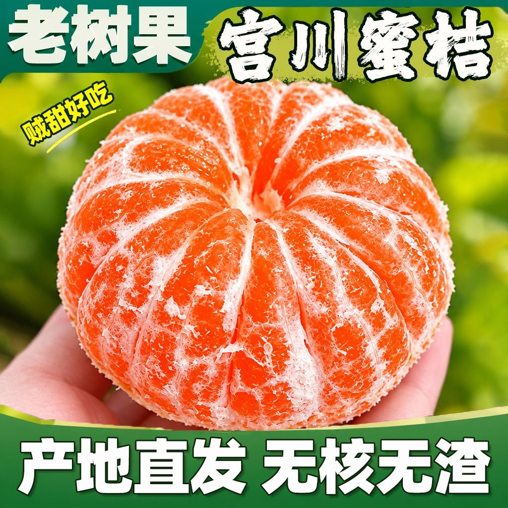 【顺丰彩箱发货】正宗临海涌泉宫川蜜桔新鲜应季水果无核薄皮现摘