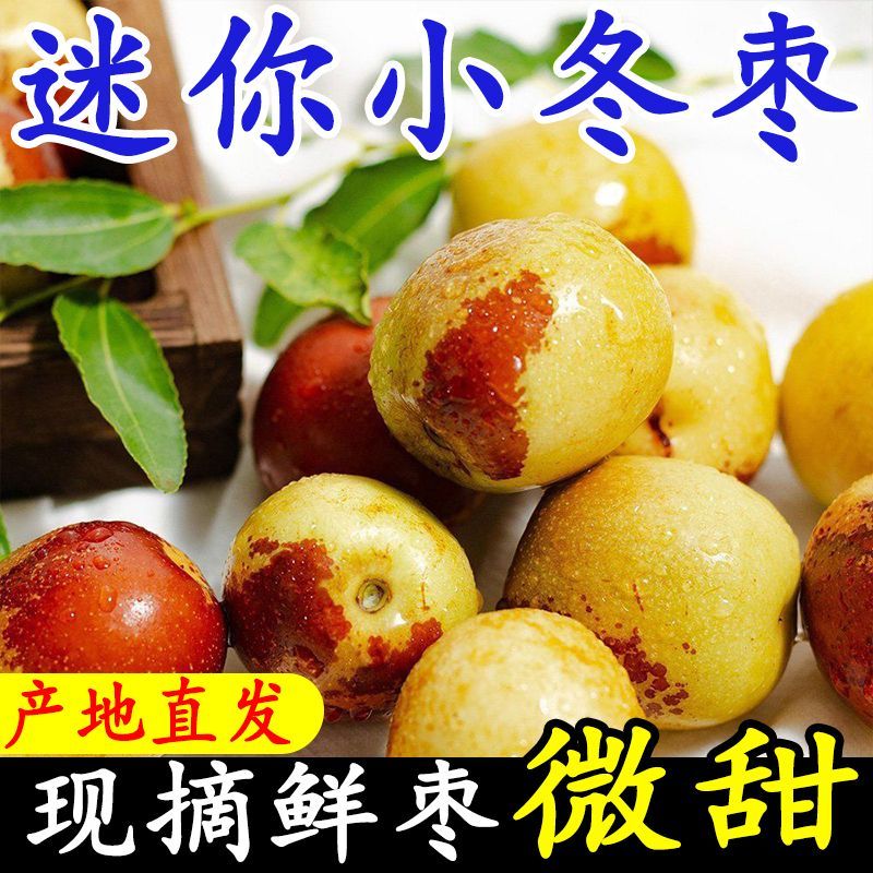 带箱5斤玲珑小枣果园直发脆甜多汁新鲜水果自然成熟泡沫彩箱装
