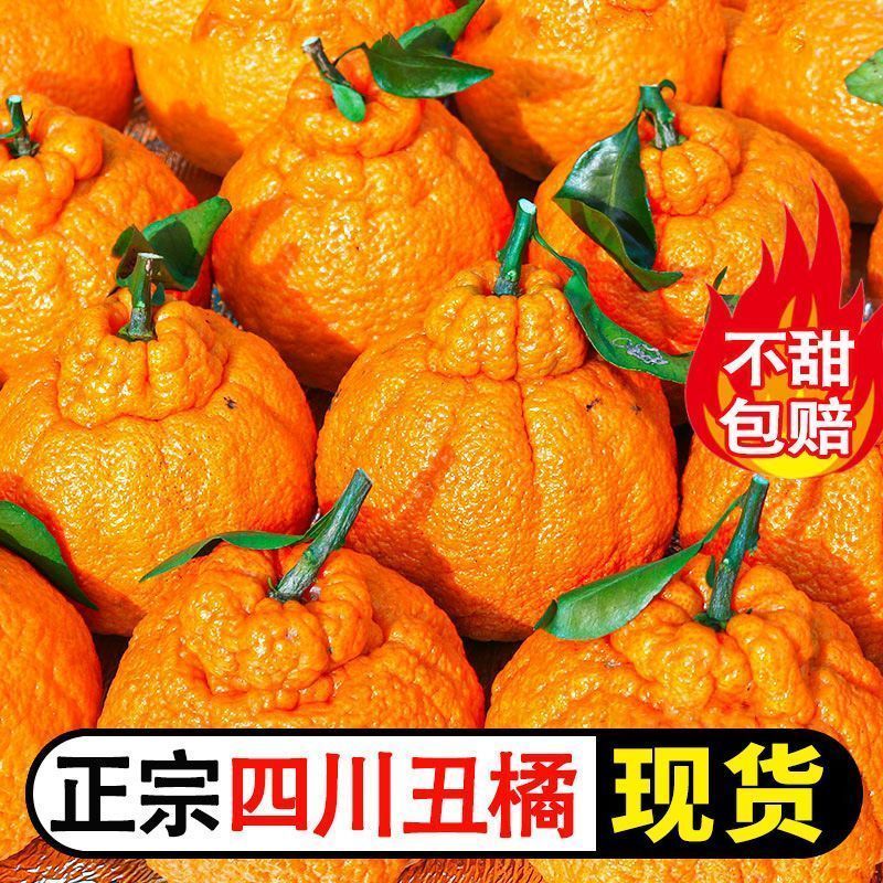 正宗四川不知火丑橘当季新鲜水果应季橘子桔子薄皮丑桔丑八怪柑橘