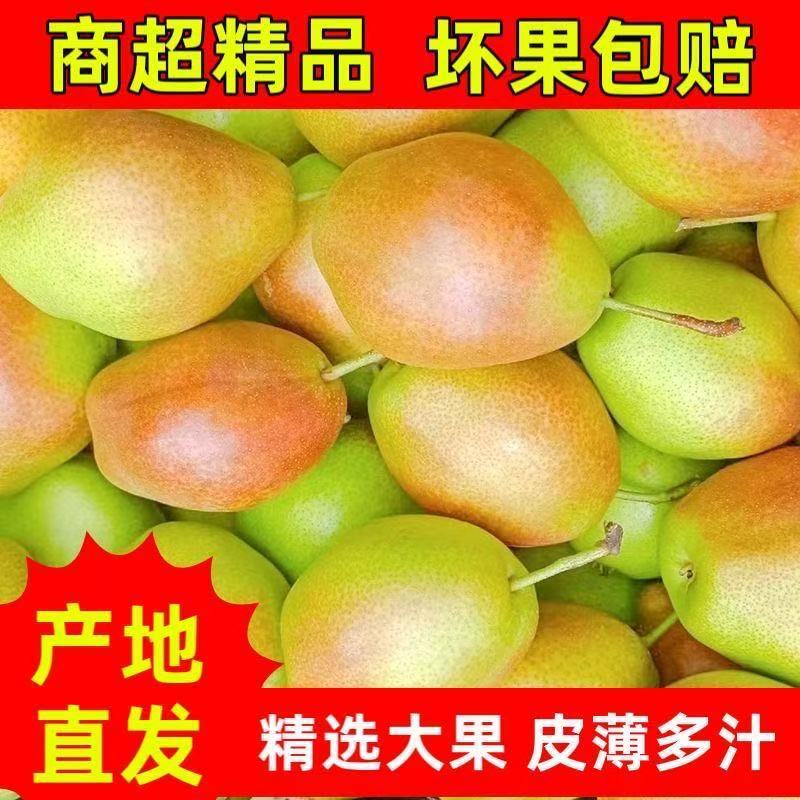 2026正宗香梨新鲜应季脆甜水果梨子当季薄皮香酥红香酥梨整箱